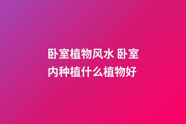 卧室植物风水 卧室内种植什么植物好